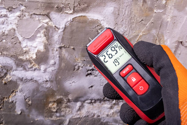 Best Crawl Space Mold Removal  in Hammond, IN