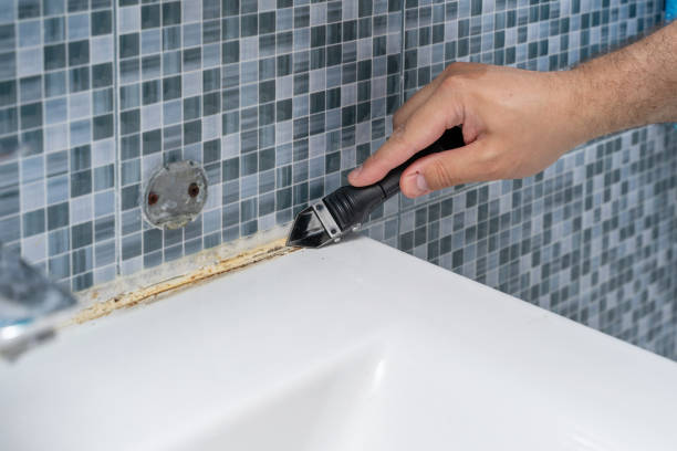 Mold Removal and Inspection in Hammond, IN